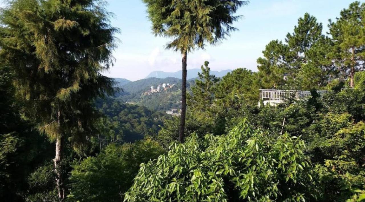 Villa Dieu Thong - Secrect Garden, View San May Va Nui Da Lat Eksteriør billede