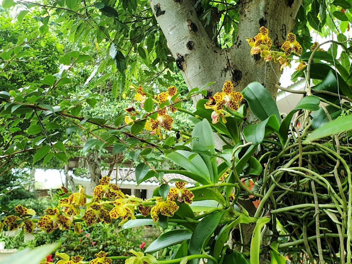 Villa Dieu Thong - Secrect Garden, View San May Va Nui Da Lat Eksteriør billede